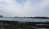 Tocht Stappen Locmariaquer - PR_56_Locmariaquer_AA_01_Entre-Golfe-Et-Ocean_Circuit1b_20220217 - Photo 9