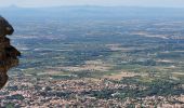 Tocht Stappen Sorède - Vallee-heureuse-Ermitage-Chateau-ultrera_T - Photo 9