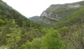 Tour Wandern Romeyer - Col des Bachassons depuis Romeyer - Photo 9
