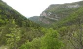 Excursión Senderismo Romeyer - Col des Bachassons depuis Romeyer - Photo 9