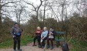 Trail Walking Fontainebleau - Avons 24 février 2023  - Photo 4