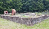 Randonnée Marche Ronchamp - Ronchamp - sentier des Affleurements de l'Etançon - Photo 12