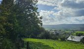 Trail Walking Stoumont - A la découverte de Stoumont  - Photo 11