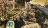 Trail Walking Lirac - Le Tanargue - Photo 9
