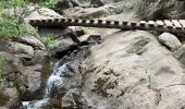 Randonnée Marche Laroque-des-Albères - La Roque des Alberes, randonnée et botanique - Photo 8