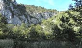 Trail On foot Sasca Montană - Sasca Română – Cheile Nerei (red triangle) - Photo 10