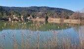 Trail Walking Lauret - Lauret - Photo 12