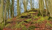 Tocht Te voet Horgen - Schnabellücke - Langnau Gattikon - Photo 3