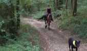 Trail Horseback riding Saint-Germain-les-Paroisses - repérage st germain inimond cheval - Photo 4