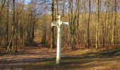 Tour Wandern Vieux-Moulin - en forêt de Compiègne_25_les Tournantes du Mont Saint-Pierre - Photo 17