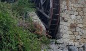 Trail Walking Sainte-Lucie-de-Tallano - Santa Luccia a Burgo - Photo 9