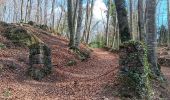 Tocht Stappen Santa Pau - la Garrotxa : volcan Santa Margarida et volcan de Croscat - Photo 12