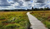 Tour Wandern Weismes - autour de botrange  - Photo 4