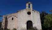 Randonnée Marche Cucuron - Cucuron Vaugines par la chapelle de  l'Hermitage - Photo 1