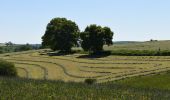 Tocht Stappen Sprimont - 20210530 - Dolembreux 8.5 Km - Photo 3