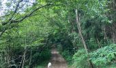 Trail Walking Saint-Cyr-le-Chatoux - Saint-Cyr-le-Chatoux / 10 km - Photo 11