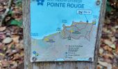 Trail Walking La Trinité - Pointe Rouge Spoitourne via Pointe Bibi - Photo 7