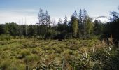 Tour Wandern Wirten - Fagnes Pierrard  -  Marche_4kms - Photo 1