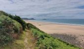 Tocht Stappen Erquy - POINTE DE PLENEUF DEPUIS LE CAMPING LA VALLÉE  - Photo 16