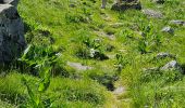 Tocht Stappen Lavigerie - 2024 RA Cantal Puy Mary - Photo 5