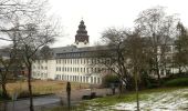 Tocht Te voet Rüdesheim am Rhein - Rundwanderweg Tanne - Photo 6