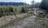 Trail Walking Aywaille - ninglinspo . chefna . fond de quareux  - Photo 16