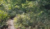 Randonnée V.T.T. Saint-Clément - sortie vtt du 02092018 vitrimont  - Photo 4