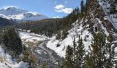 Tour Zu Fuß Zernez - Punt dal Gal - Punt la Drossa - Photo 9