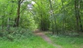 Percorso A piedi Compiègne - en forêt de Compiègne_34_autour du Buissonnet et du Berne - Photo 20