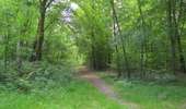 Randonnée A pied Compiègne - en forêt de Compiègne_34_autour du Buissonnet et du Berne - Photo 20