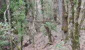 Trail Walking Belgentier - Belgentier antennes escavalins - Photo 11