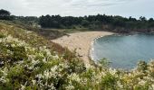 Trail Walking Saint-Cast-le-Guildo - Boucle St Cast réalisée  - Photo 6