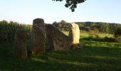 Trail On foot Durbuy - GrWandArd 18: Wéris land van dolmen en menhirs - Photo 9