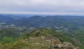 Tocht Stappen Saint-Julien - Le tour des jasses : Bourdils Chavardes Landres Bramefan - Photo 3