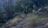 Tour Wandern Prévenchères - Gorges du Chassezac au départ de la Garde guérin  - Photo 8