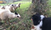 Tocht Stappen Le Vignon-en-Quercy - Hôpital st Jean - Photo 3