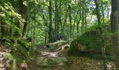 Tour Wandern Brassac - Brassac - Sur les hauteurs de l'Agout - Col de la cime du Ser - Photo 7