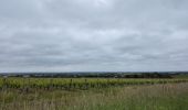 Tocht Stappen Brissac-Loire-Aubance - St Rémy la Varenne - Gennes - Photo 13