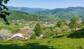 Tour Wandern Münster im Elsass - Munster - Ried - Solberg - Photo 2