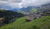 Tocht Mountainbike Le Grand-Bornand - Maroly - Colombière - Photo 2