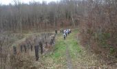 Trail Walking Saint-Pierre-lès-Elbeuf - 20220208-la-mare-asse - Photo 2