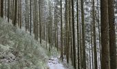 Randonnée Marche Waimes - Sur les traces de l'ultratrail 🥾 - Photo 14