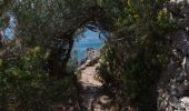 Trail On foot Antibes - Tour du Cap d'Antibes - Photo 1