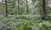 Randonnée Course à pied Geestland - rondje bos en meer - Photo 6