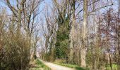 Trail Walking Tongeren - Promenade de la beauté cachée à Lauw  - Photo 2