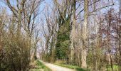 Excursión Senderismo Tongeren - Promenade de la beauté cachée à Lauw  - Photo 2