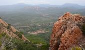 Trail Walking Saint-Raphaël - Agay - Rastel d'Agay - Drapeau - Pic du Cap Roux - Photo 3