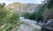 Tour Wandern Le Broc - Pont de l'Estéron, Chapelle Sainte Marguerite, bord de l'Estéron - Photo 15