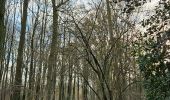 Tour Wandern Vuren - Veurbos - Roodbos - Photo 9