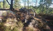 Trail Walking Noisy-sur-École - 190906-reco.chataignes  - Photo 2